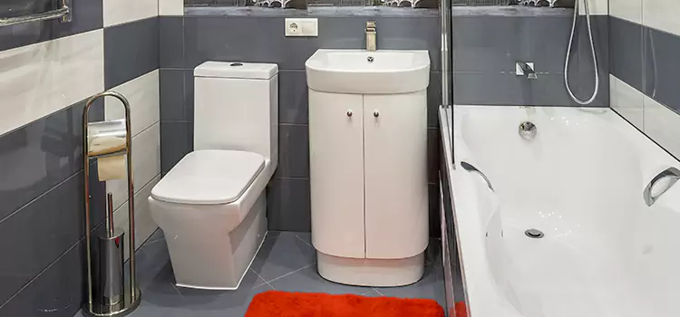 Hansgrohe Shaving Mirror Manitowoc